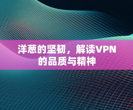 洋葱的坚韧,解读VPN的品质与精神 洋葱的坚韧,解读VPN的品质与精神